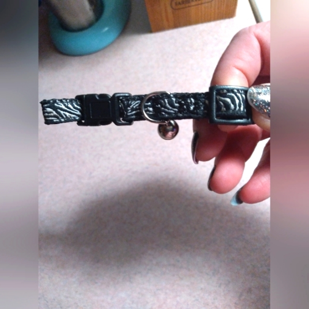 Cat/Dog collar